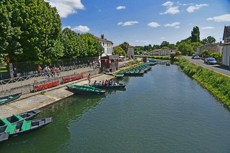 min 2025 06 08 Marais Poitevin 175